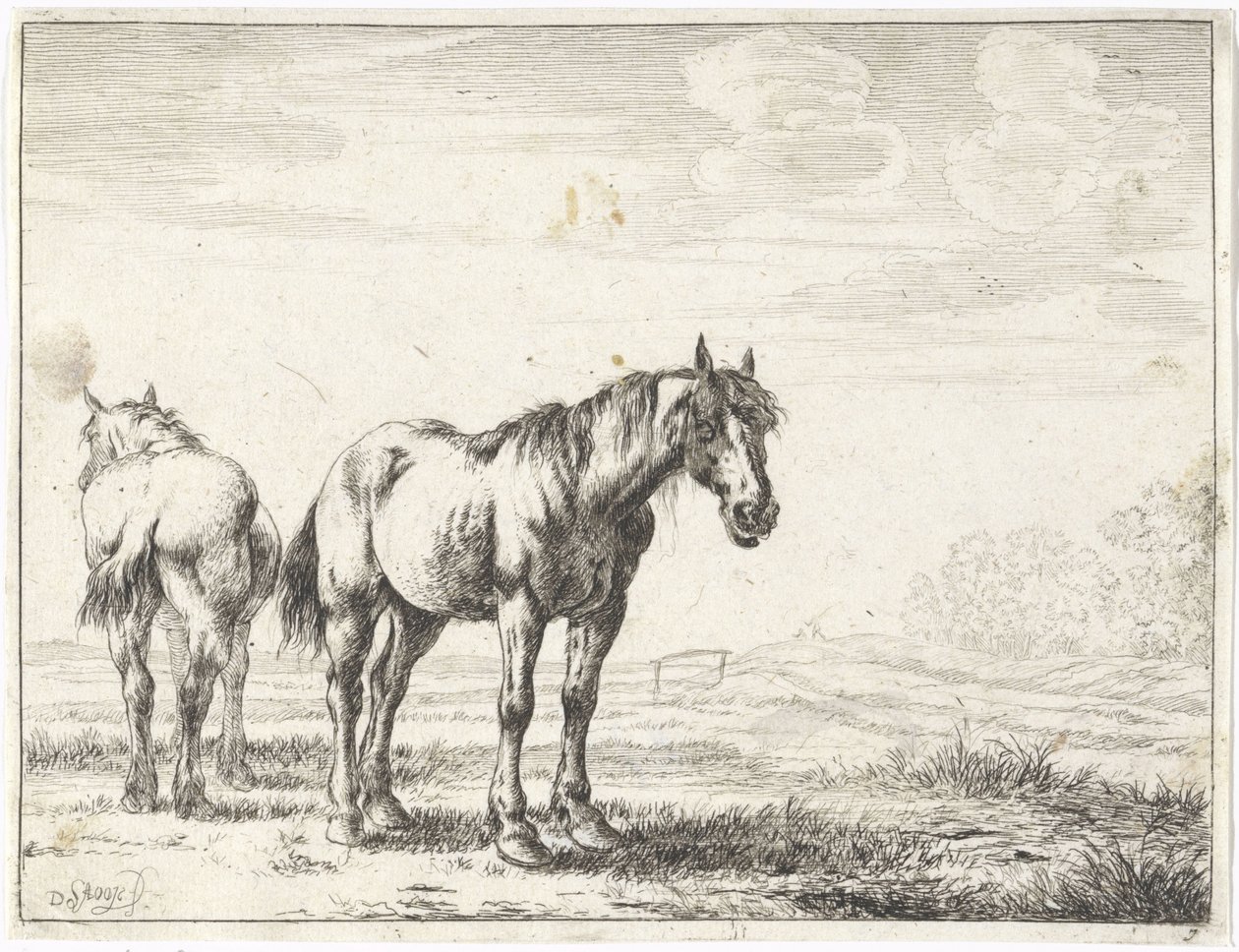 Twee paarden in een landschap Paarden door Dirk Stoop