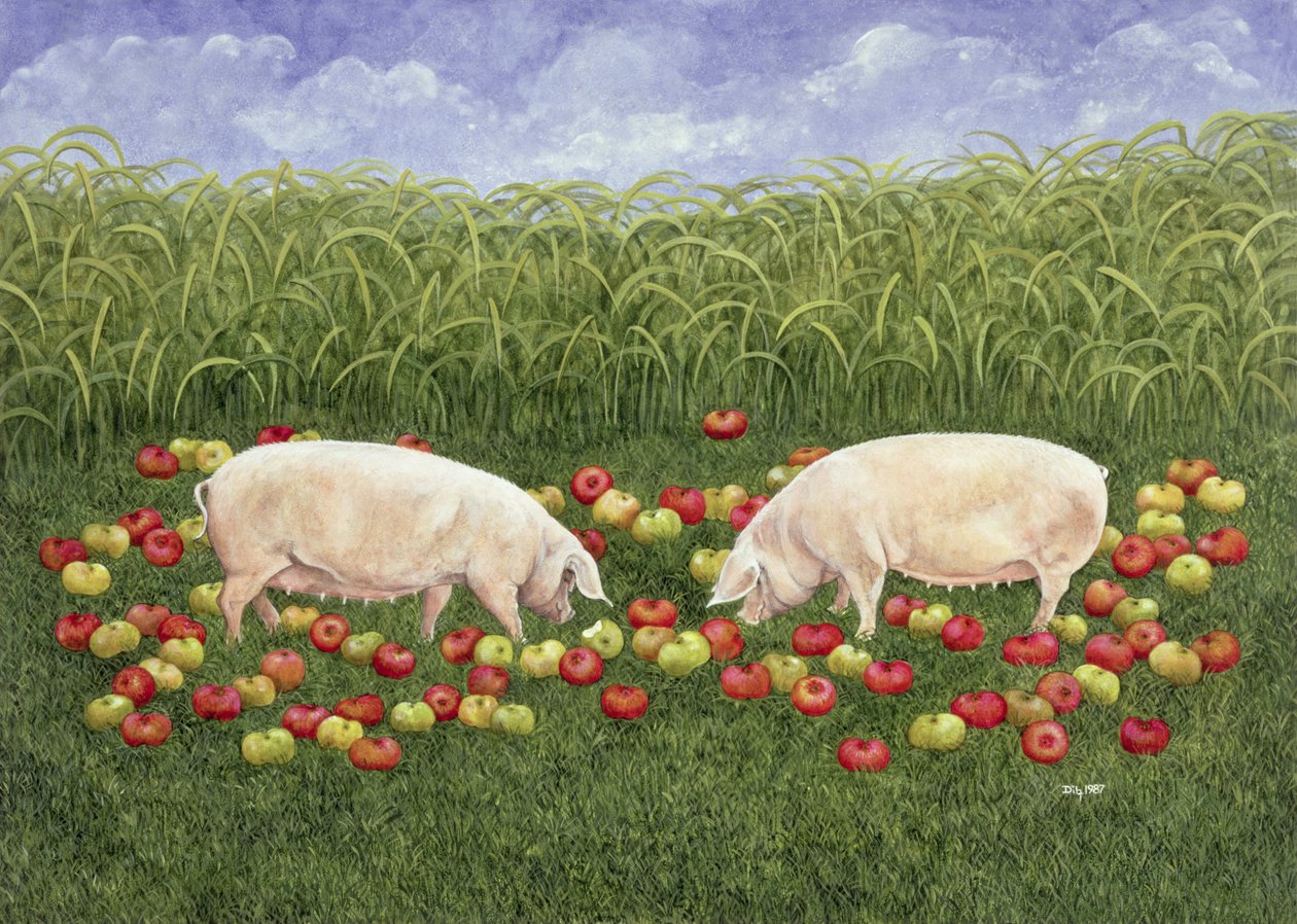Appelzaaiers door Ditz
