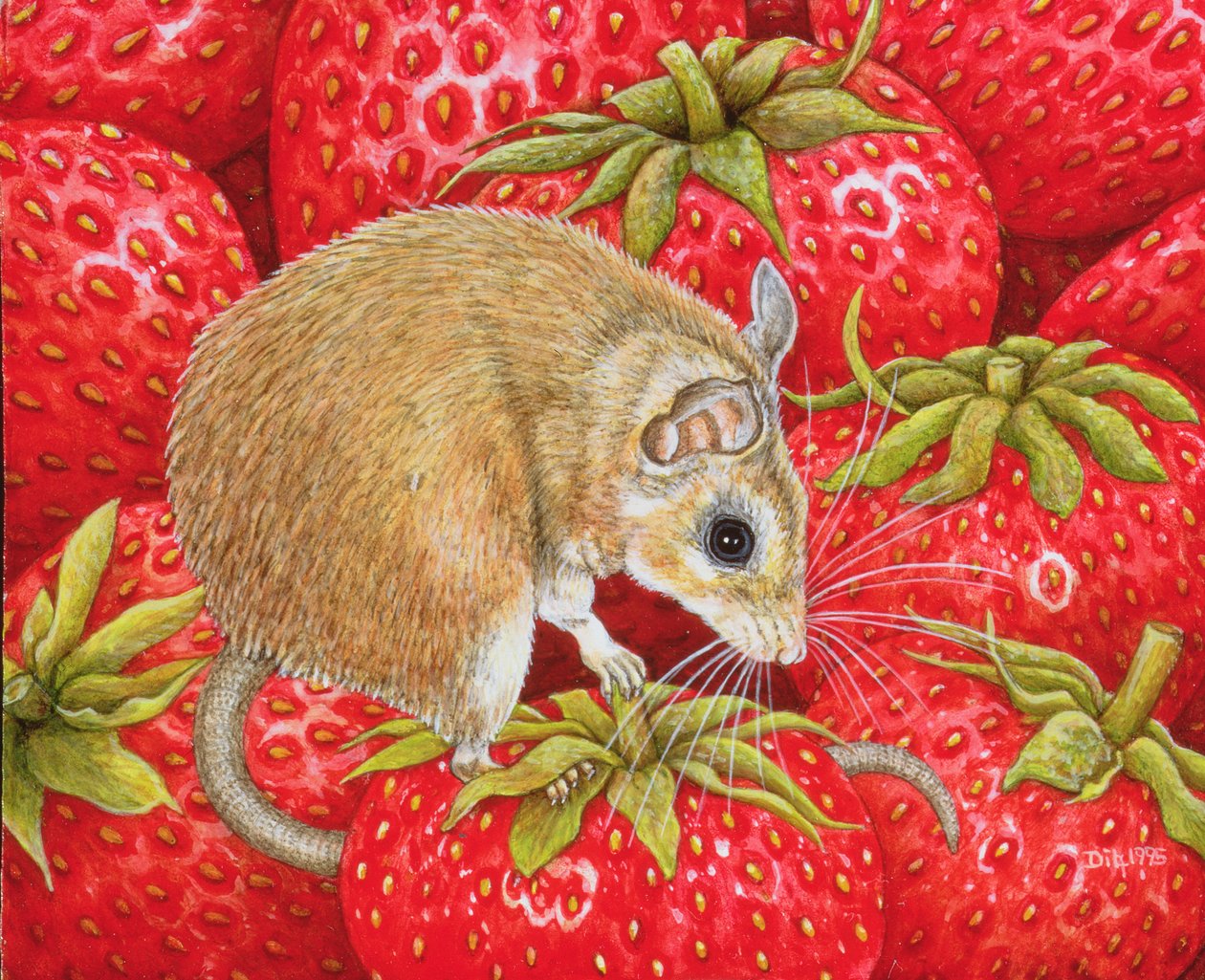 Aardbei-Muis, 1995 door Ditz