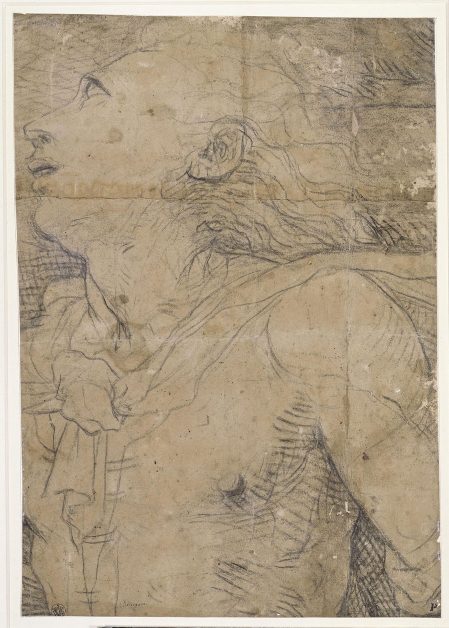 Opkijkende jongeman (half figuur), fragment van een karton door Domenico Beccafumi