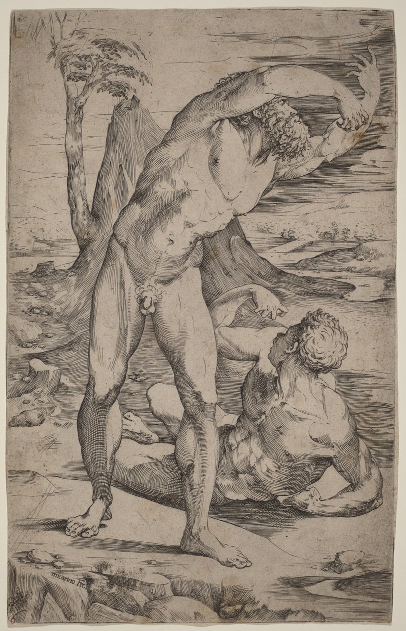 Twee mannelijke naakten die gebaren maken in een landschap door Domenico Beccafumi