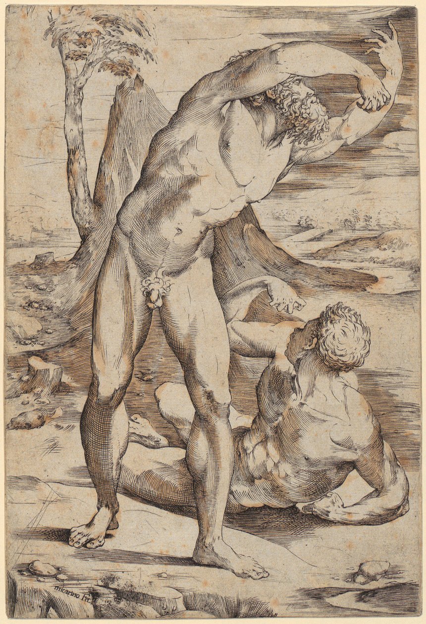Twee naakte mannen in een landschap door Domenico Beccafumi