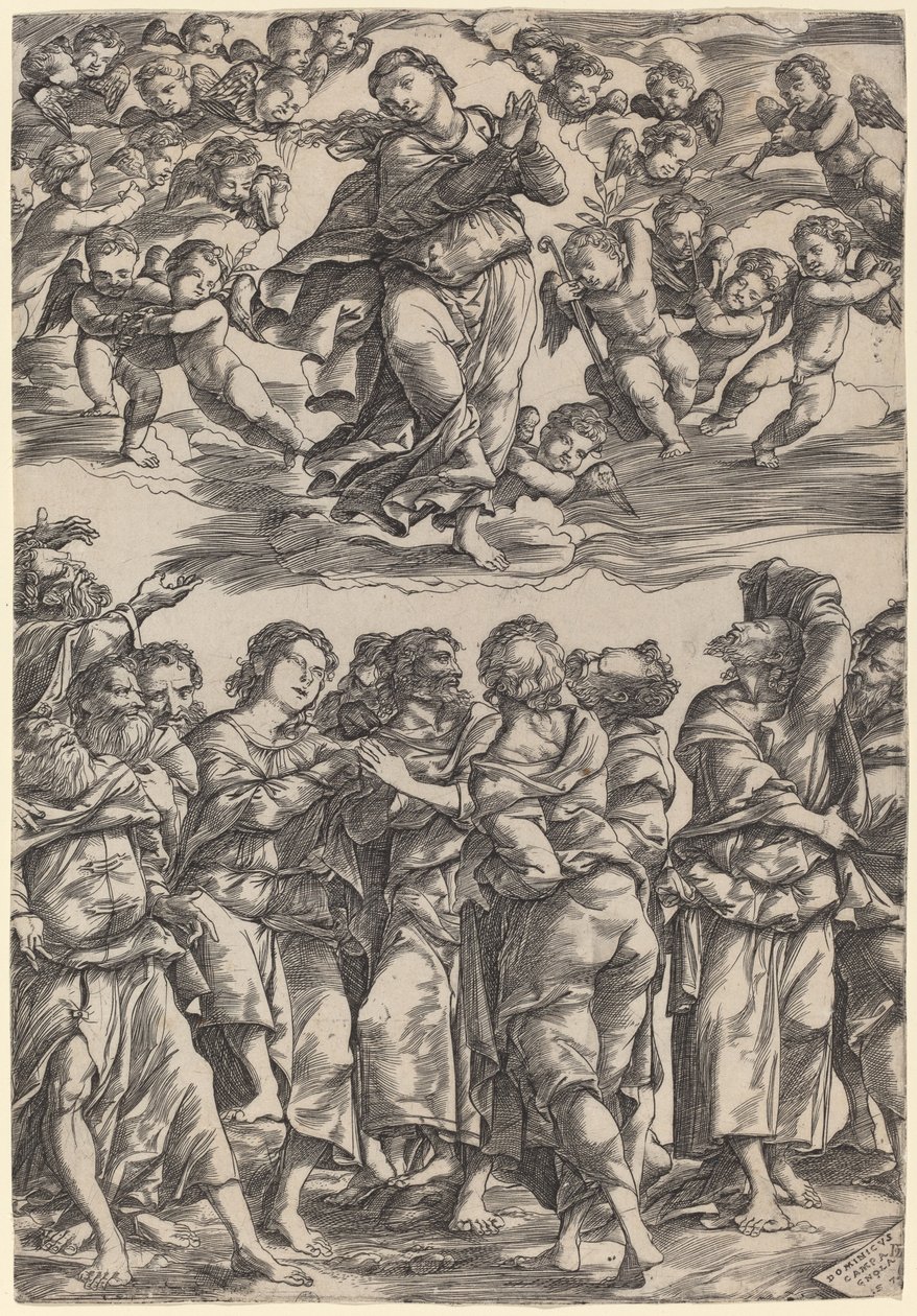 De Tenhemelopneming van de Maagd door Domenico Campagnola