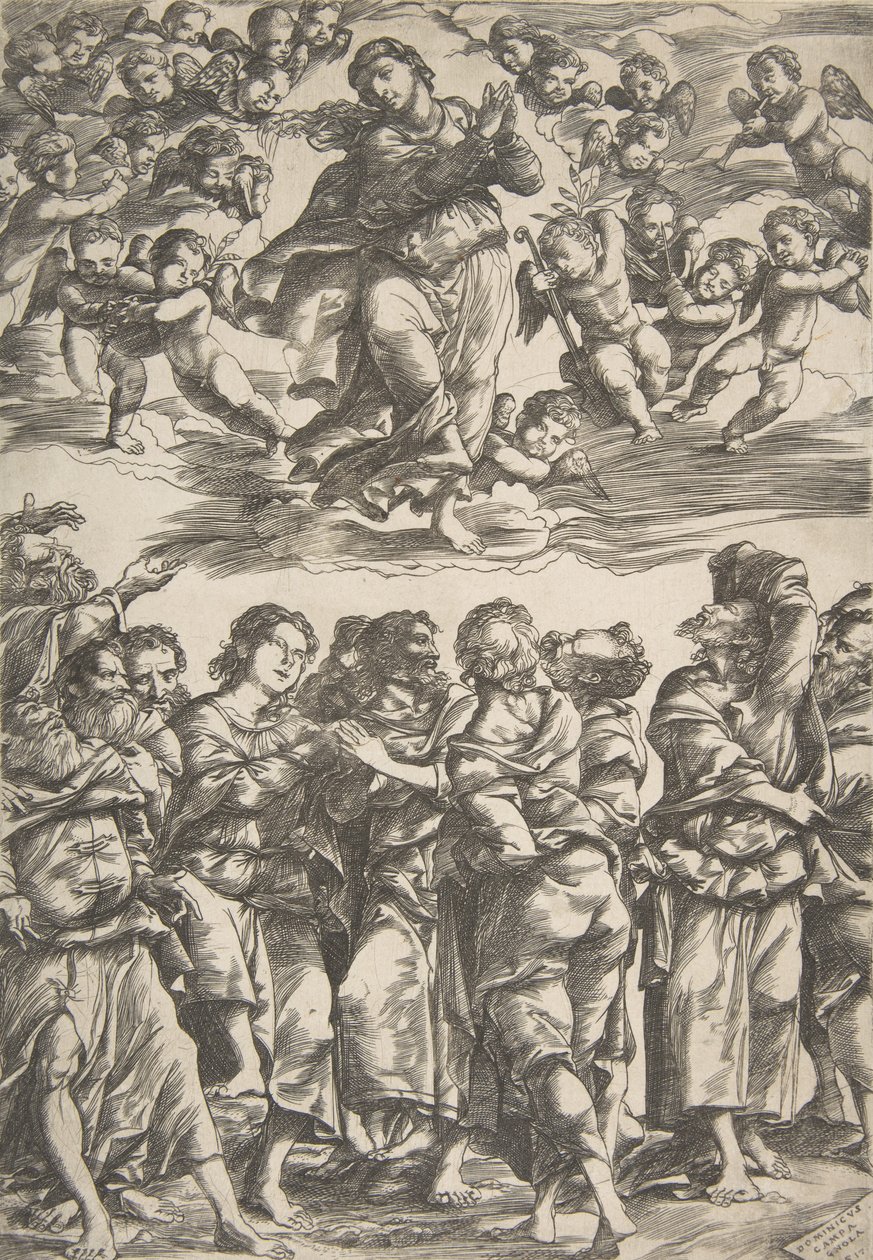 De Maagd bovenaan in het midden in de wolken met gevouwen handen en rechtervoet omhoog, omringd door..., 1517 door Domenico Campagnola