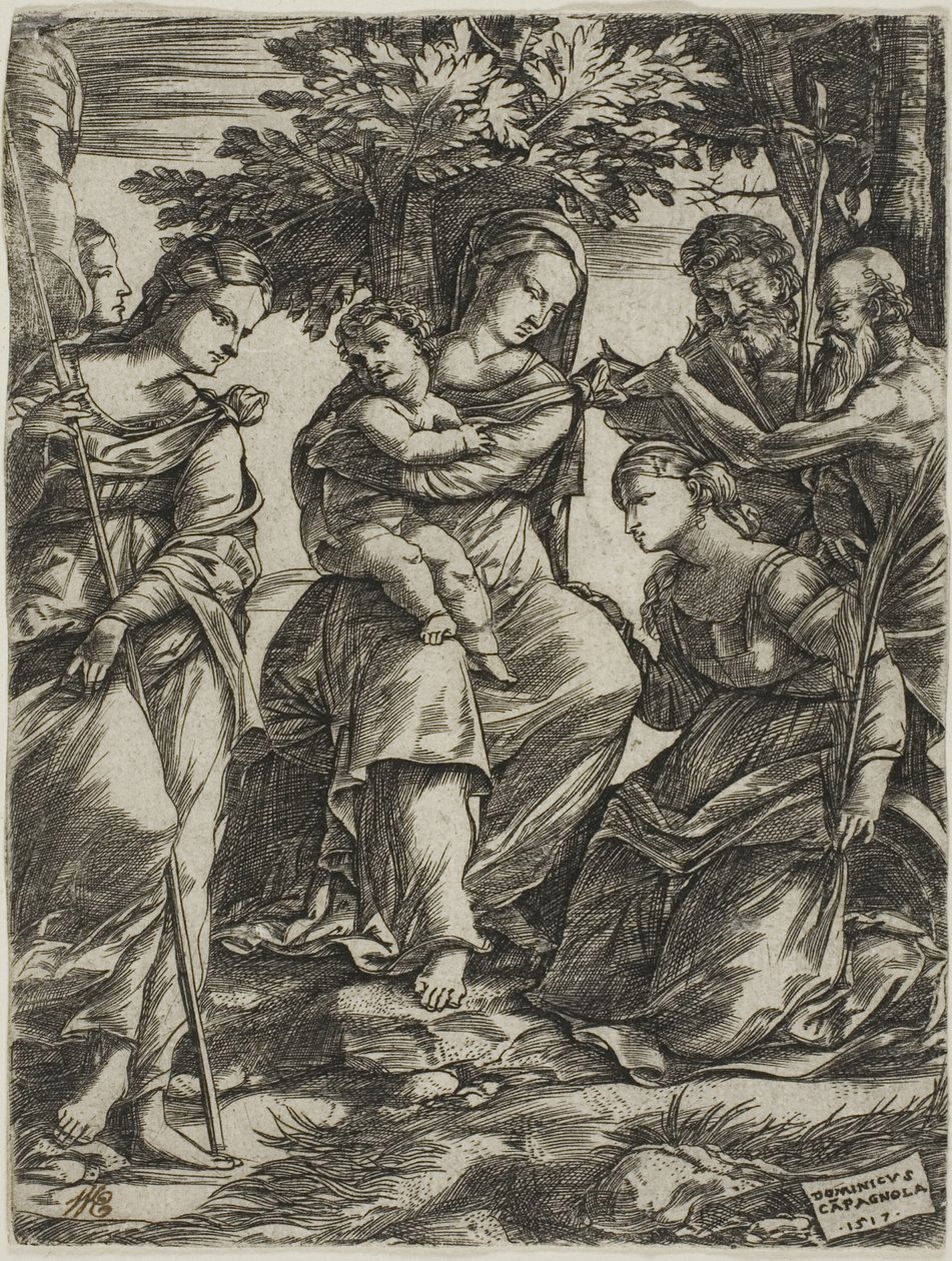 Maagd en Kind met Heiligen door Domenico Campagnola