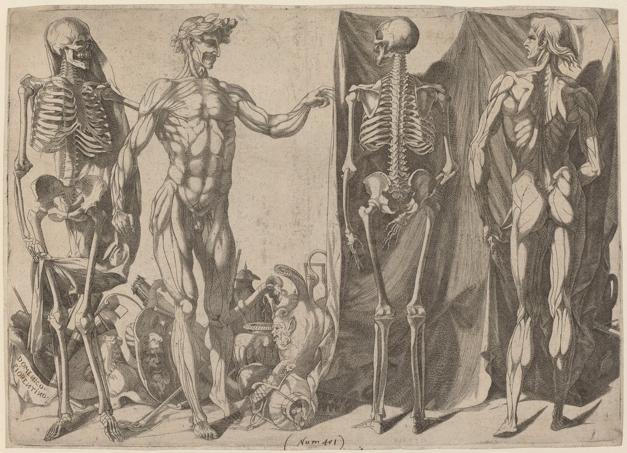 Skeletten en ontvelde lichamen door Domenico del Barbiere