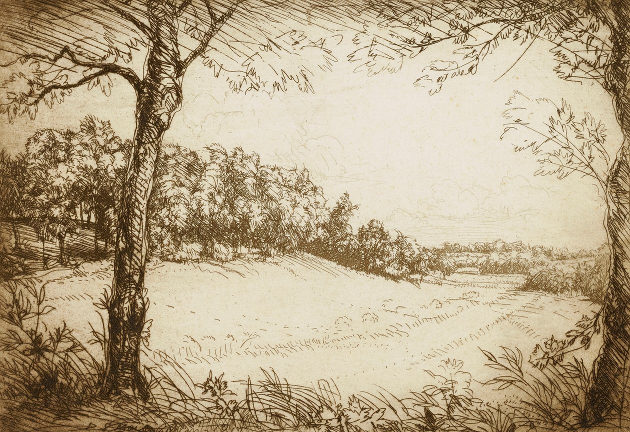 Zomerochtend in Tennessee door Donald Shaw MacLaughlan