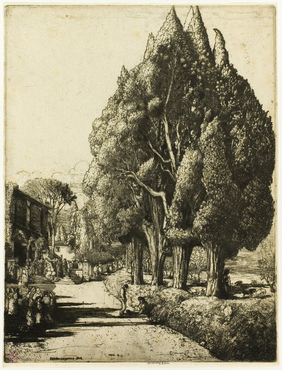 Het Cipressenbos door Donald Shaw MacLaughlan