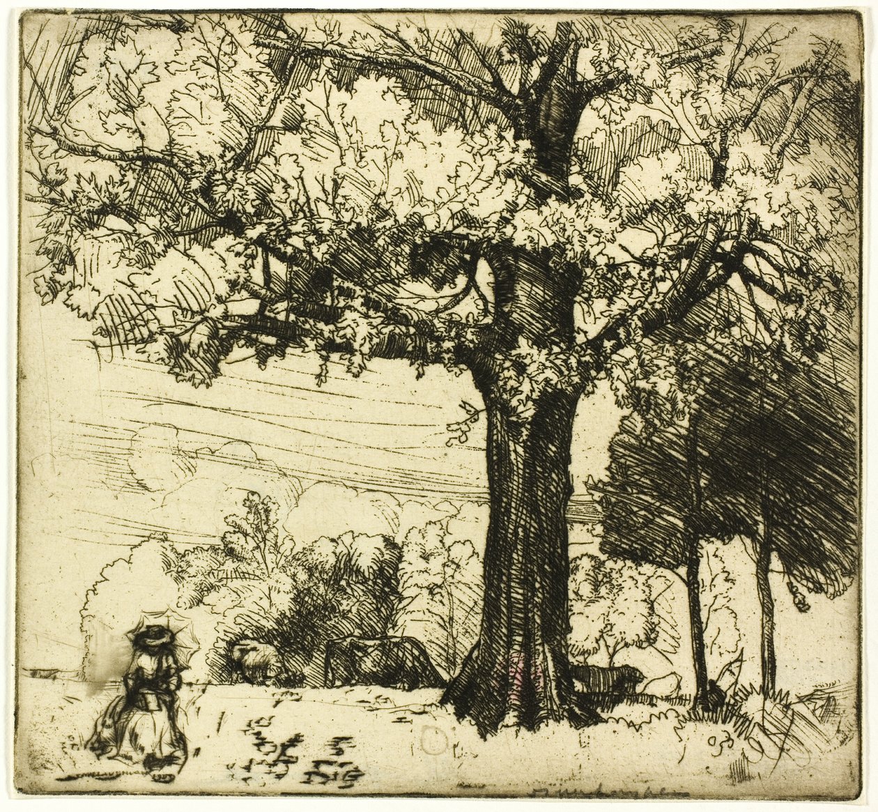 De Grote Eik door Donald Shaw MacLaughlan
