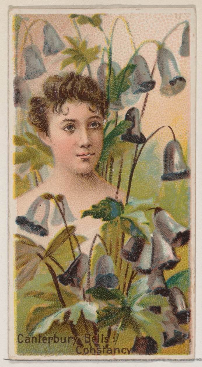 Canterbury Bells: Standvastigheid, uit de serie Floral Beauties and Language of Flowers N75 door Donaldson Brothers