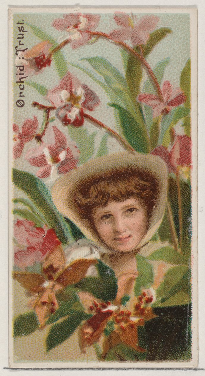 Orchidee: Vertrouwen, uit de serie Floral Beauties and Language of Flowers N75 voor Duke merk door Donaldson Brothers