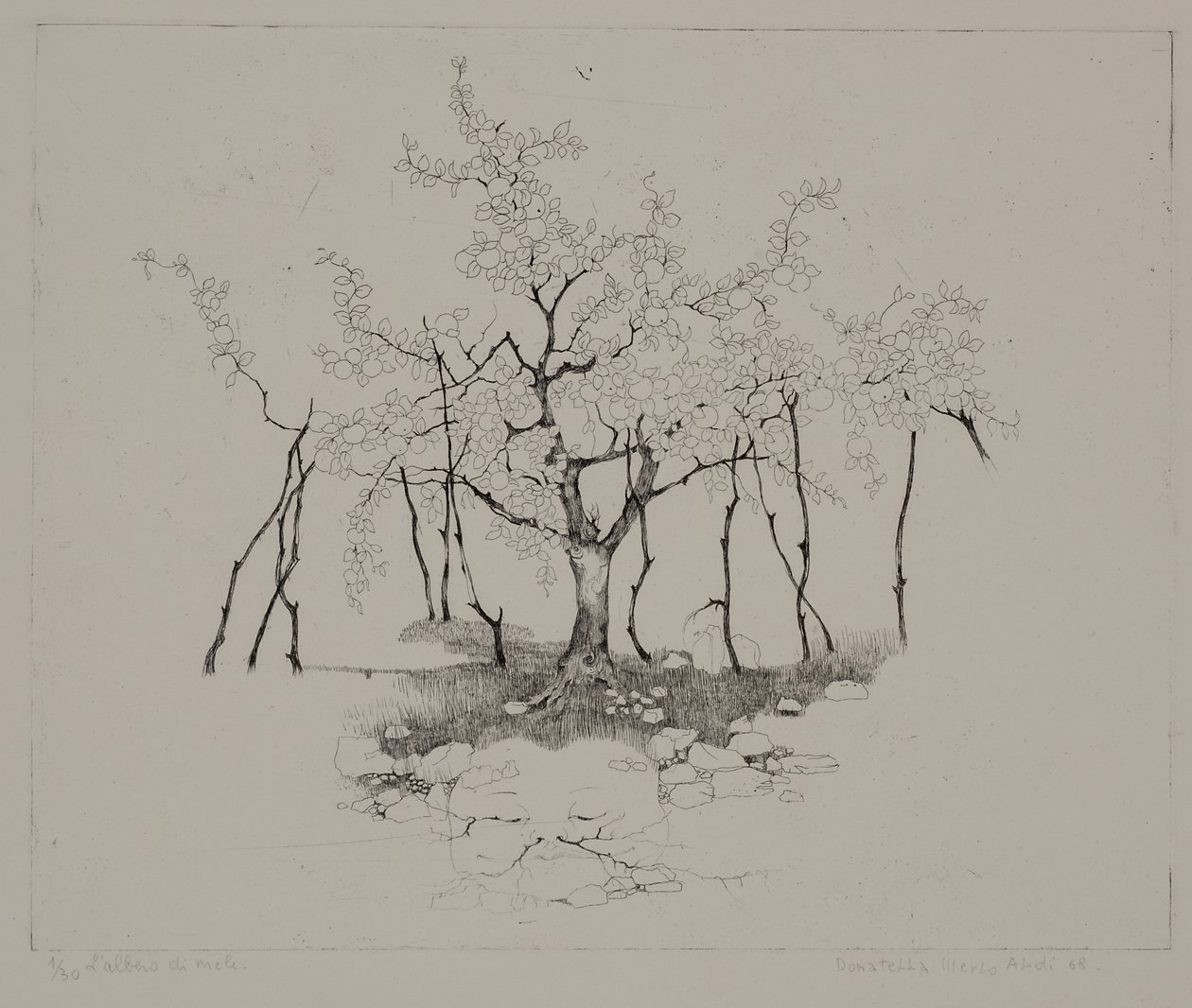 De appelboom door Donatella Merlo