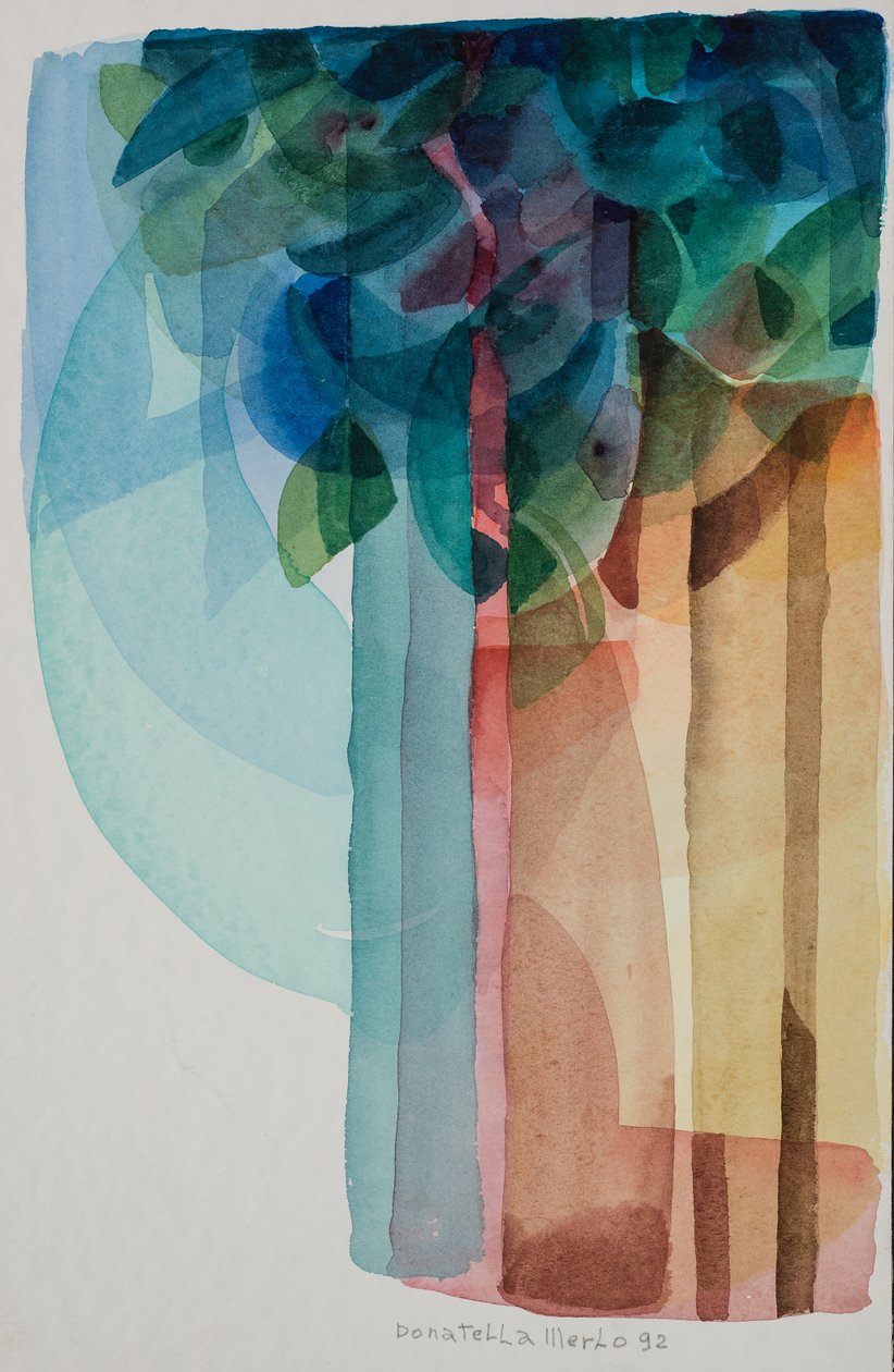 Waterval door Donatella Merlo