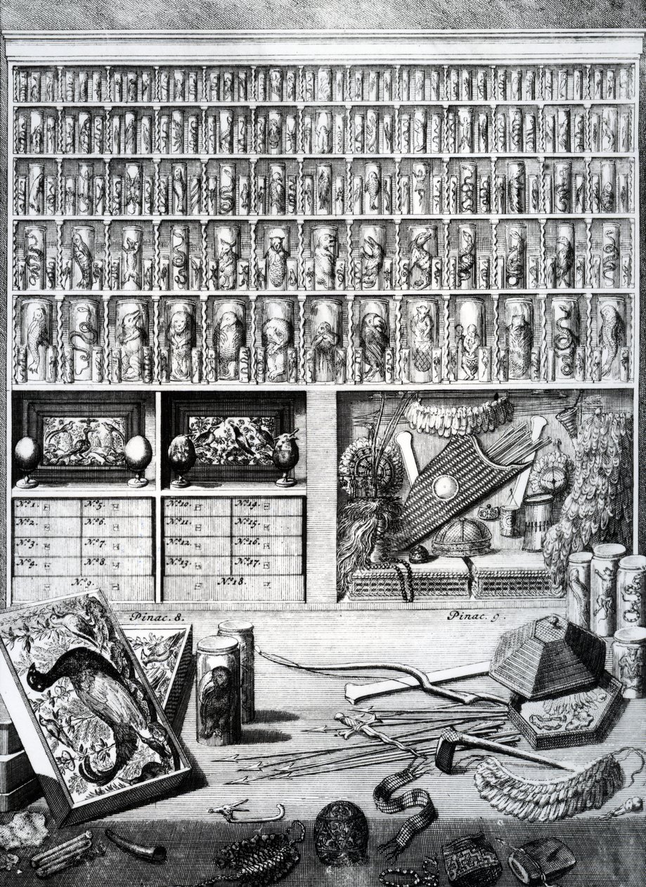 Tafel V uit 