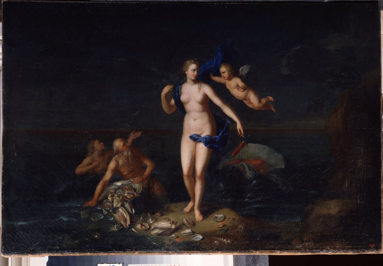 De geboorte van Venus door Dutch School