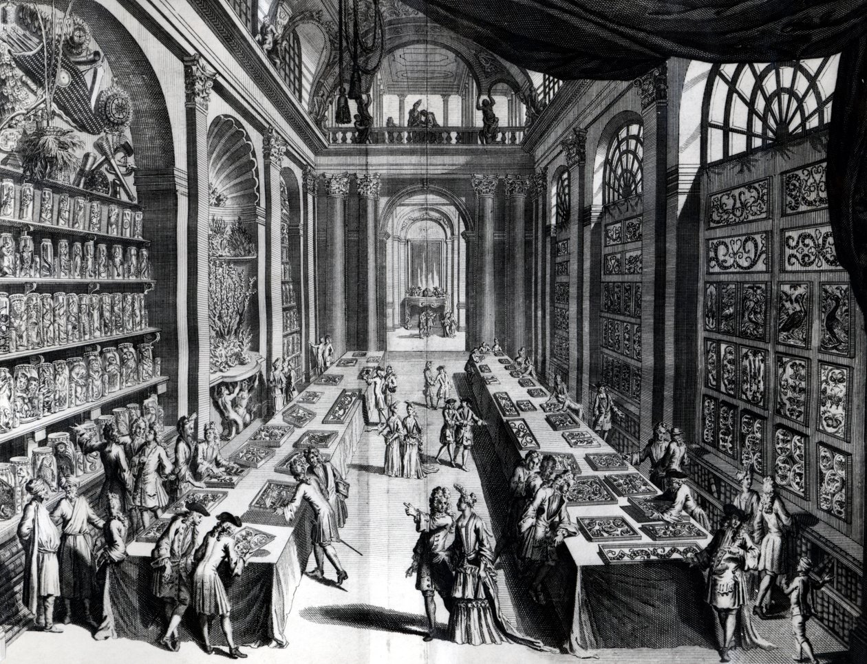 Levin Vincents verzameling curiosa, illustratie uit Theatre de Merveilles de la Nature, c.1719 door Dutch School