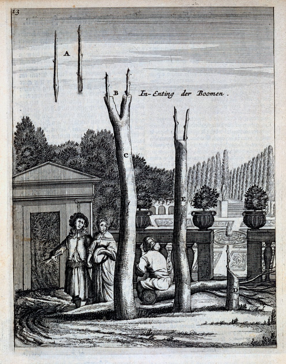 Limoen- en sinaasappelbomen, uit De Nederlandze Hesperides door Jan Commelin, gepubliceerd 1676 door Dutch School
