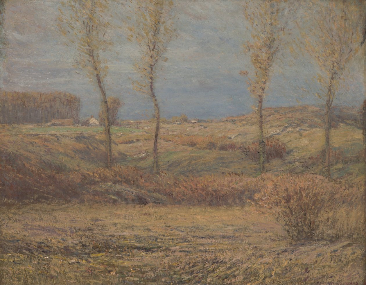 Novemberochtend door Dwight William Tryon