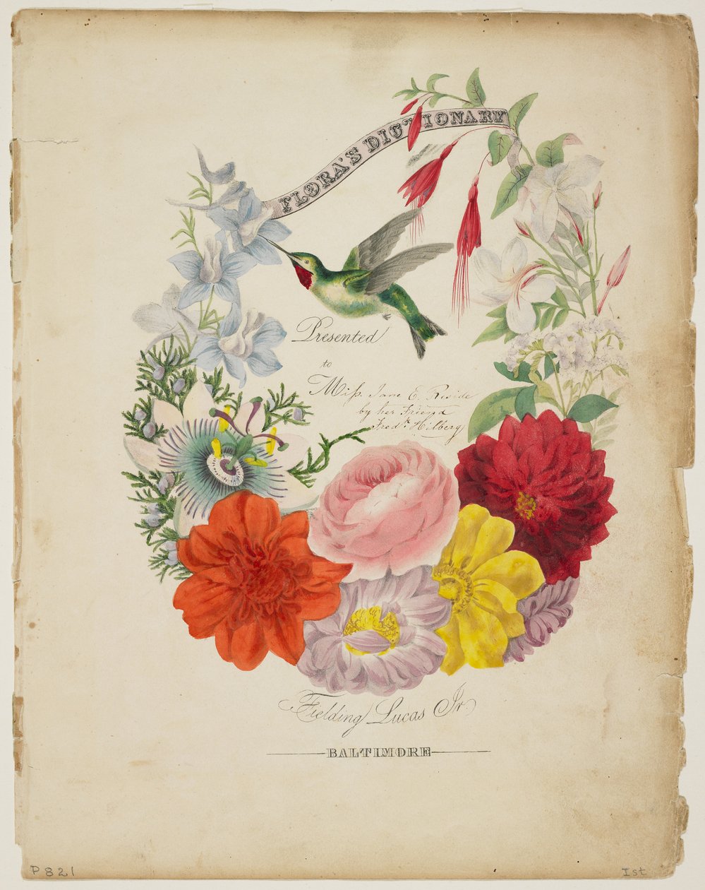 Presentatiepagina, Bloemenslinger en Kolibrie, uit Flora