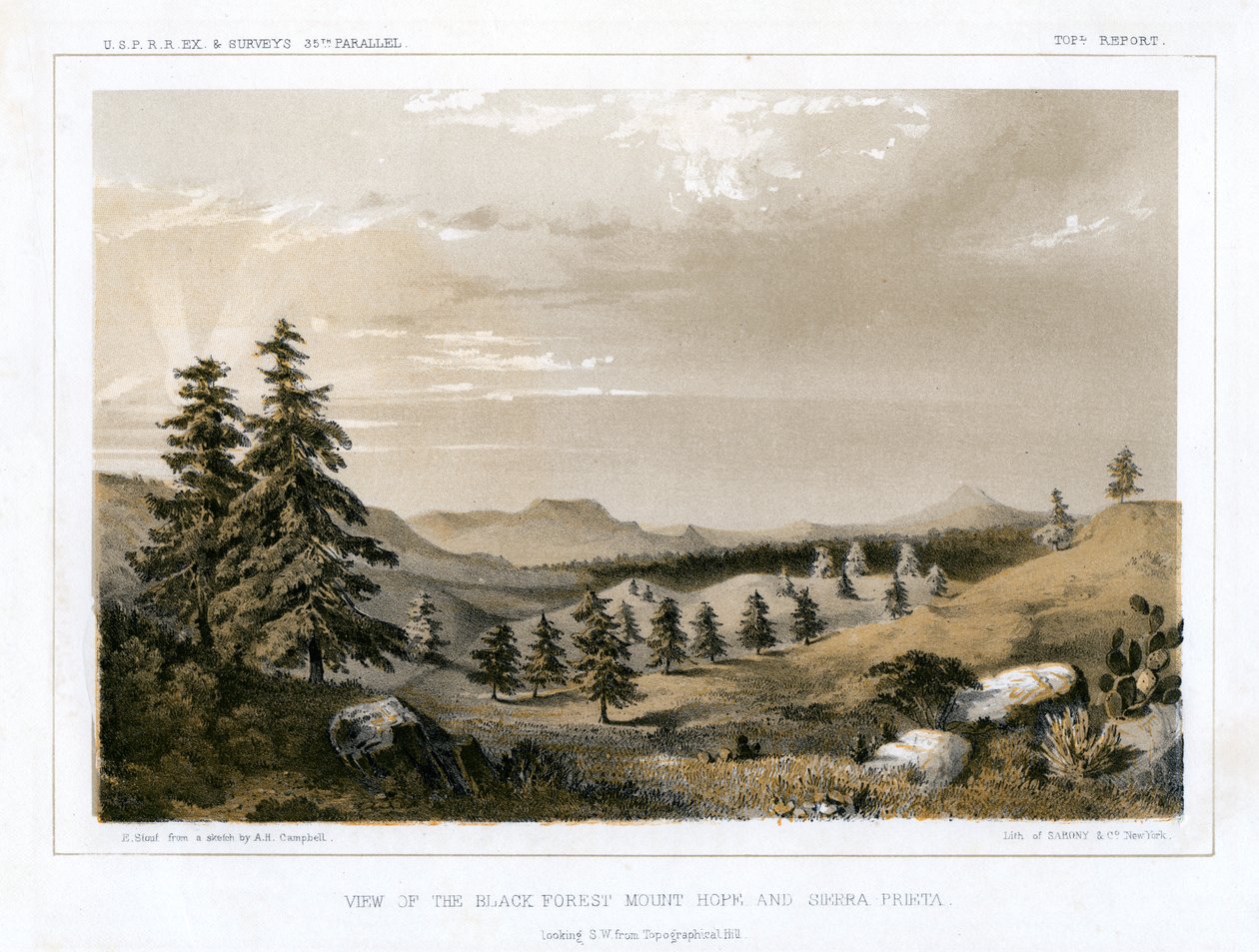 Het Zwarte Woud Mount Hope en Sierra Prieta, VS door E Stout