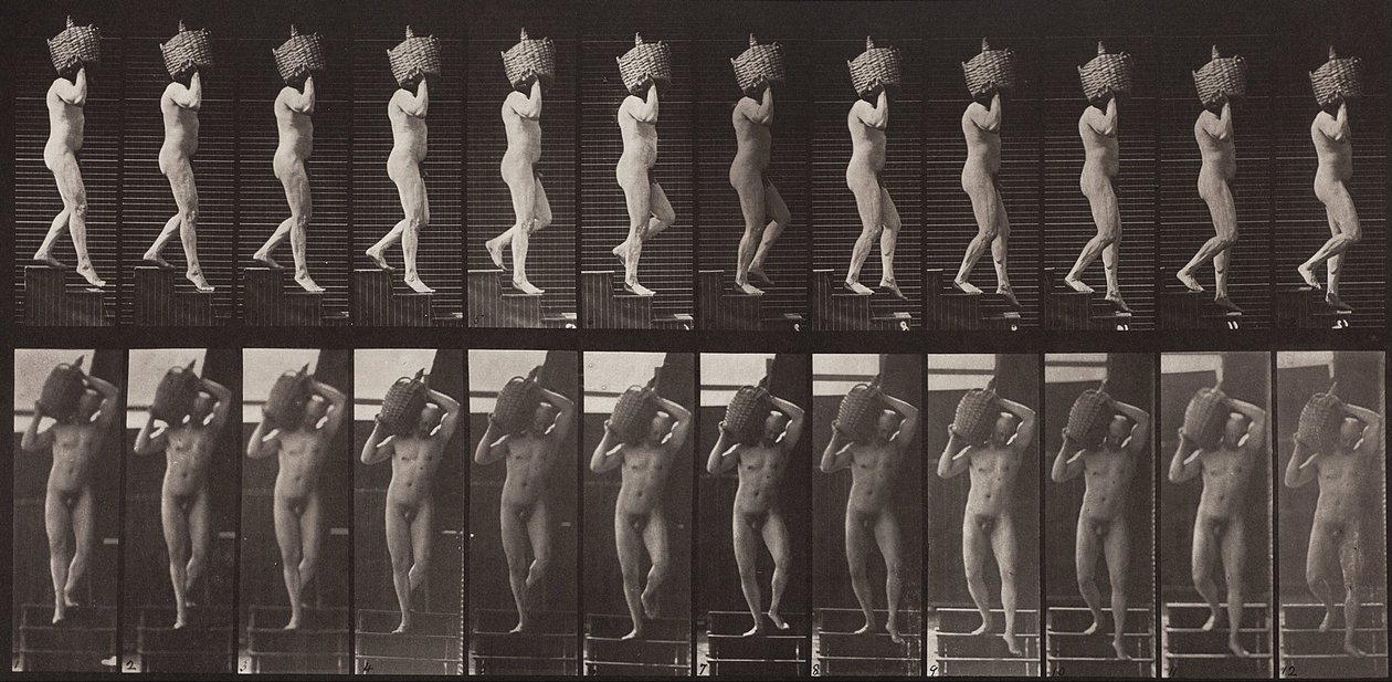 Dierenbeweging, plaat 136 door Eadweard Muybridge