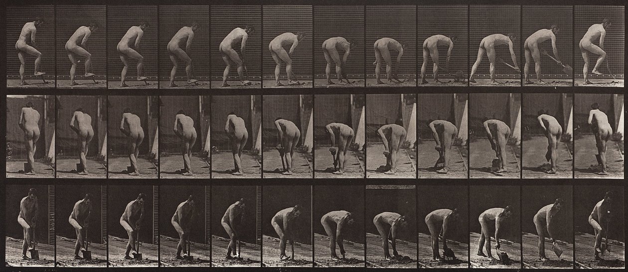 Dierlijke Voortbeweging, Plaat 388 door Eadweard Muybridge