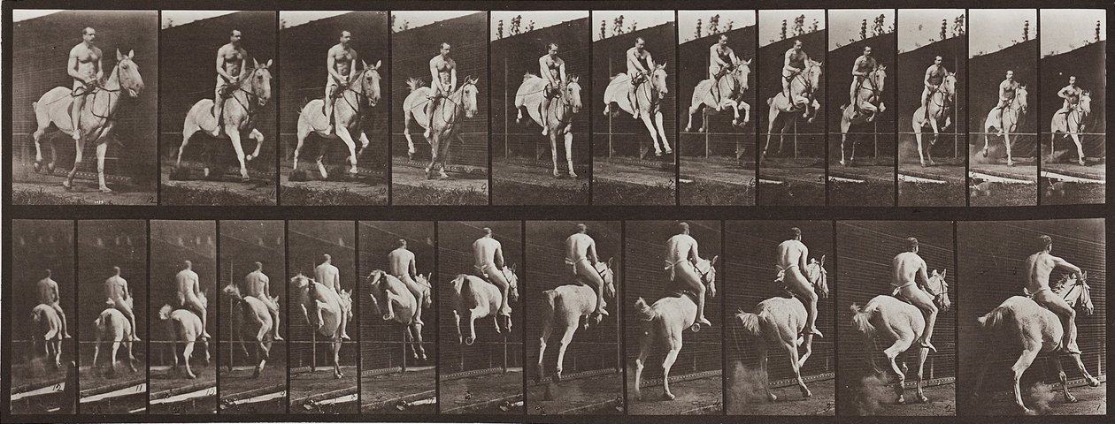 Dierenbeweging, plaat 646 door Eadweard Muybridge