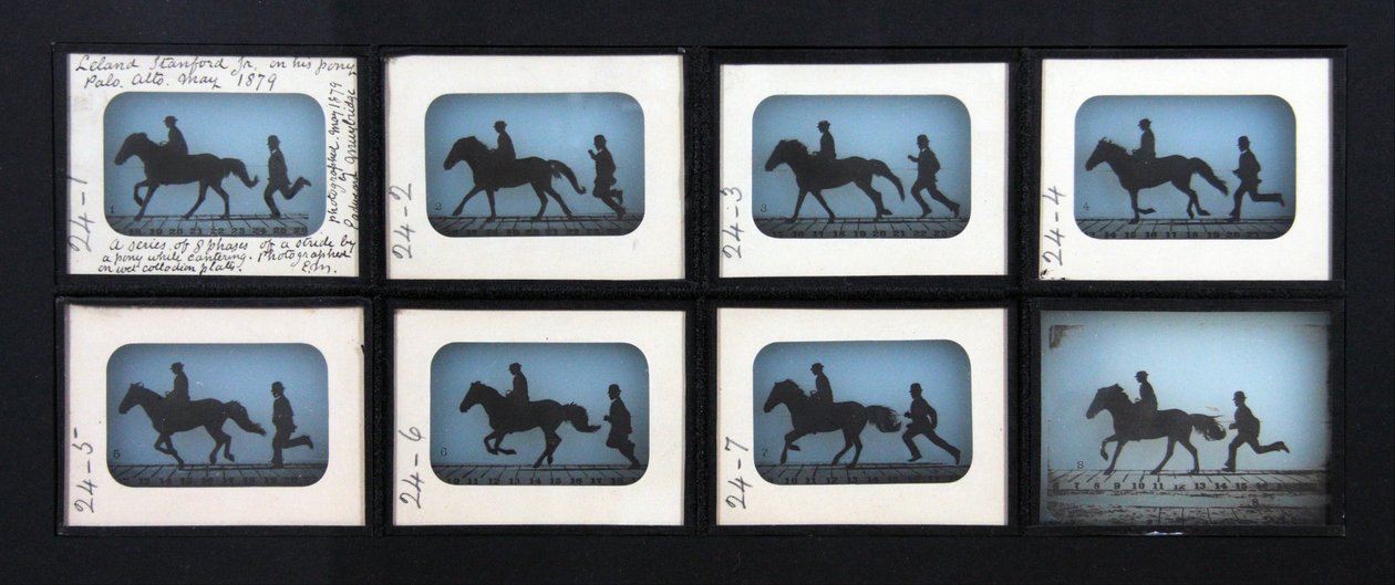 Leland Stanford Jr. op zijn pony Gypsy door Eadweard Muybridge