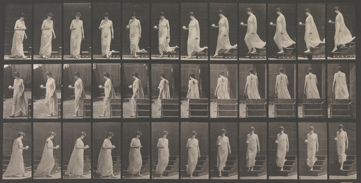 Dierlocomotie. Een elektro-fotografisch onderzoek... van dierbewegingen door Eadweard Muybridge