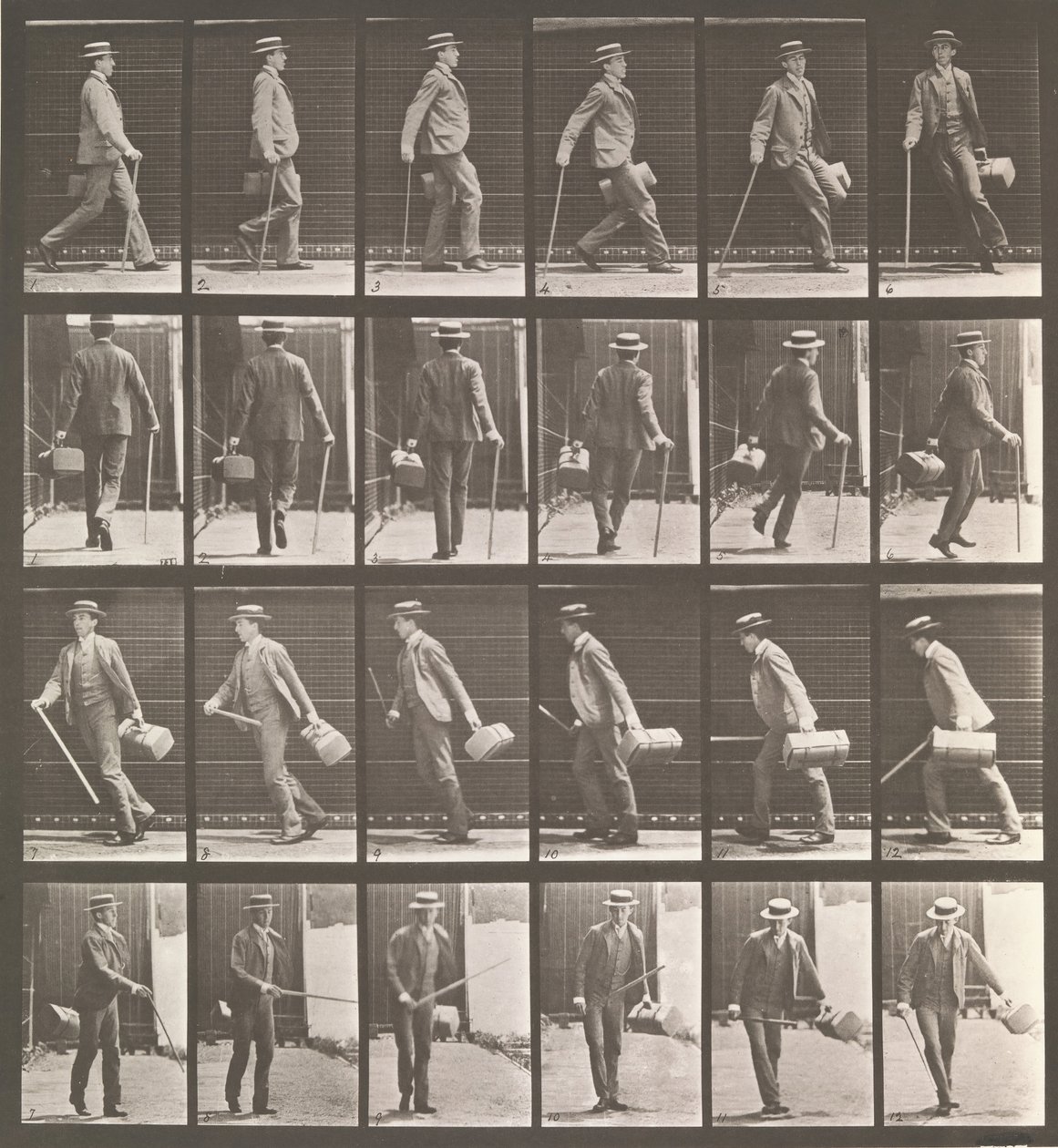 Dierlocomotie. Een elektro-fotografisch onderzoek... van dierbewegingen. Begonnen..., 1880s door Eadweard Muybridge