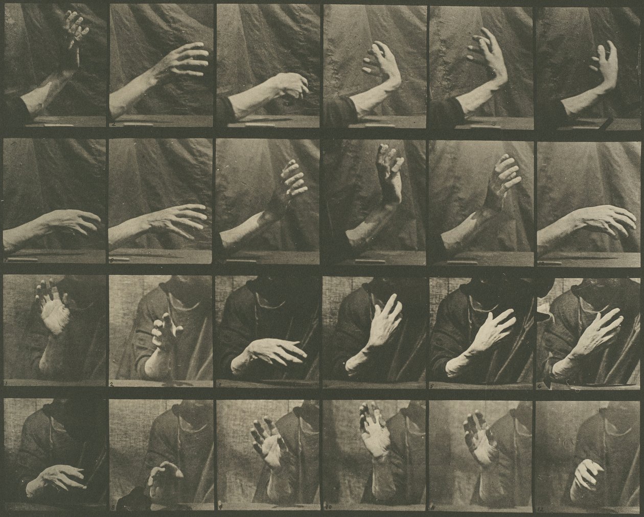 Dierlijke Voortbeweging, Plaat 535 door Eadweard Muybridge