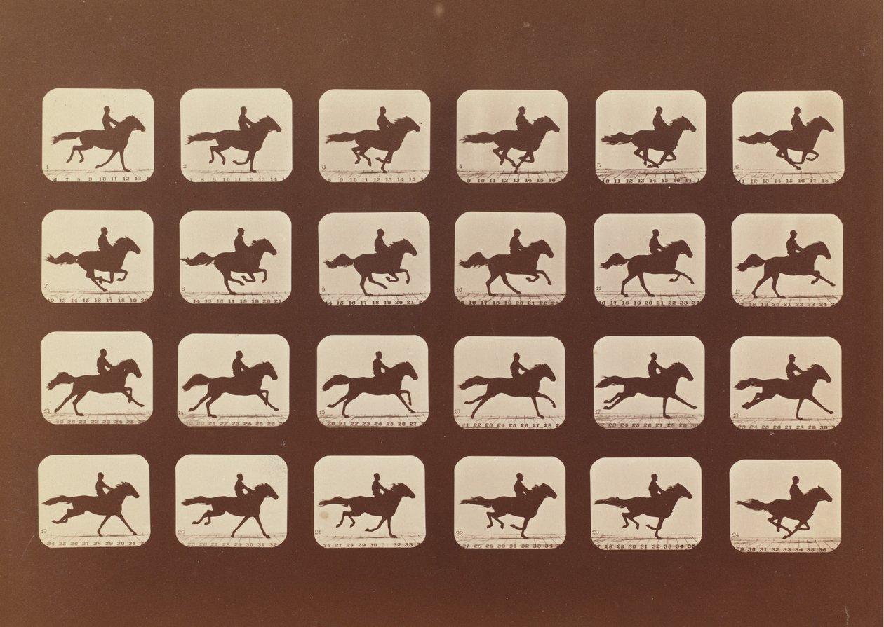 Paarden. Rennen. Phyrne L. Nr. 40, 1879 door Eadweard Muybridge