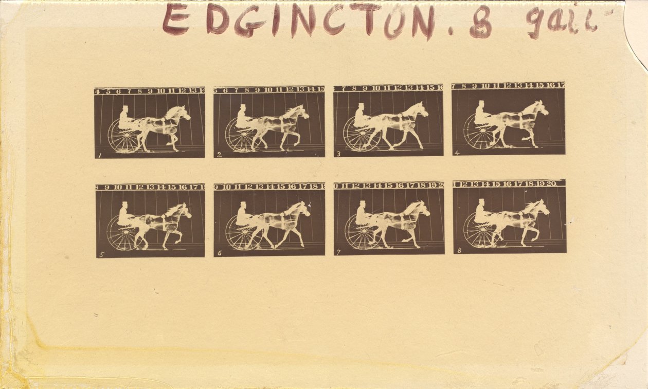 Internegatief voor paarden. Draven. Abe Edgington. Nr. 28, 1878 door Eadweard Muybridge