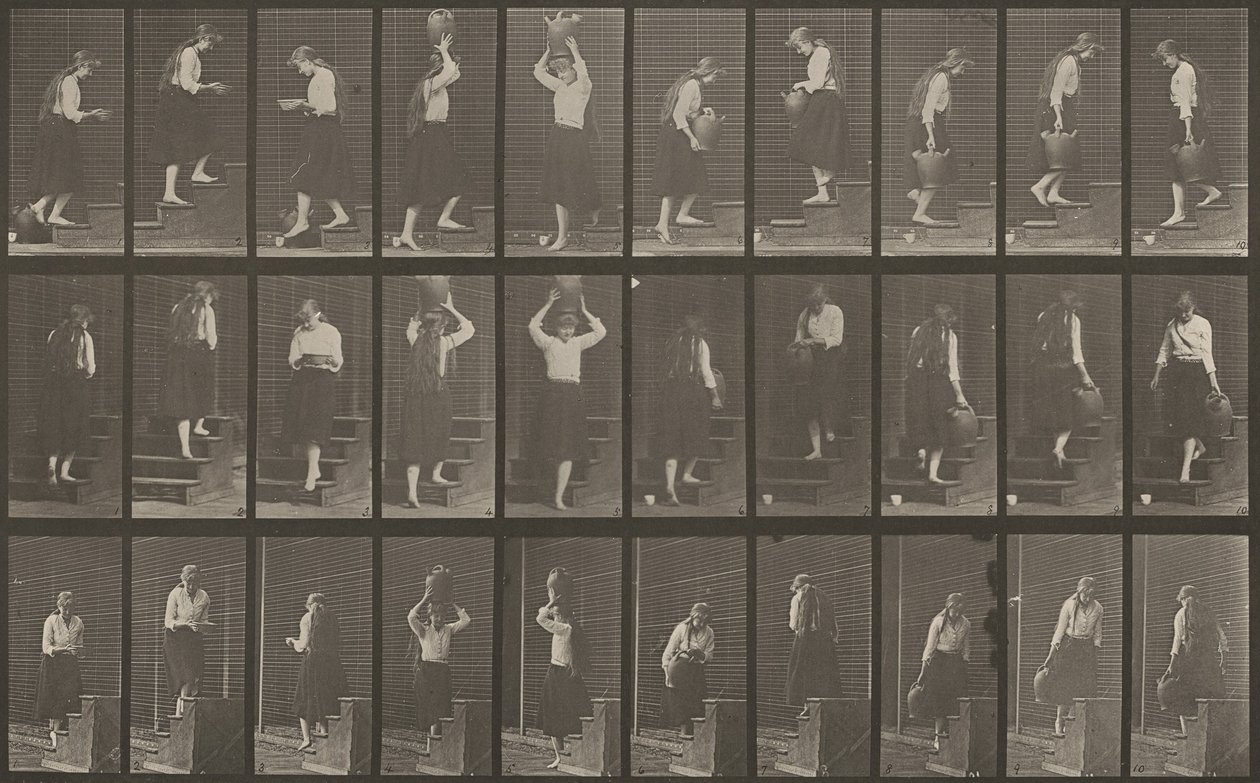 Plaat nummer 504. Op- en aflopende trappen, 1887 door Eadweard Muybridge