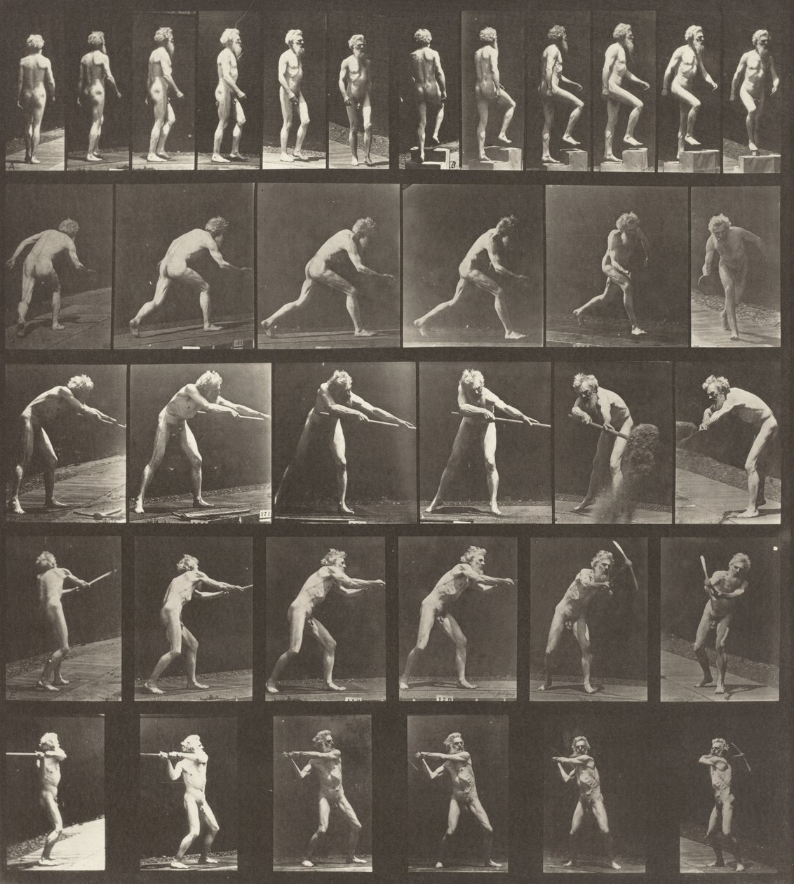 Plaat Nummer 521. A: Wandelen. B: Een stap omhoog. C: De schijf werpen. D: Een schop gebruiken..., 1887 door Eadweard Muybridge
