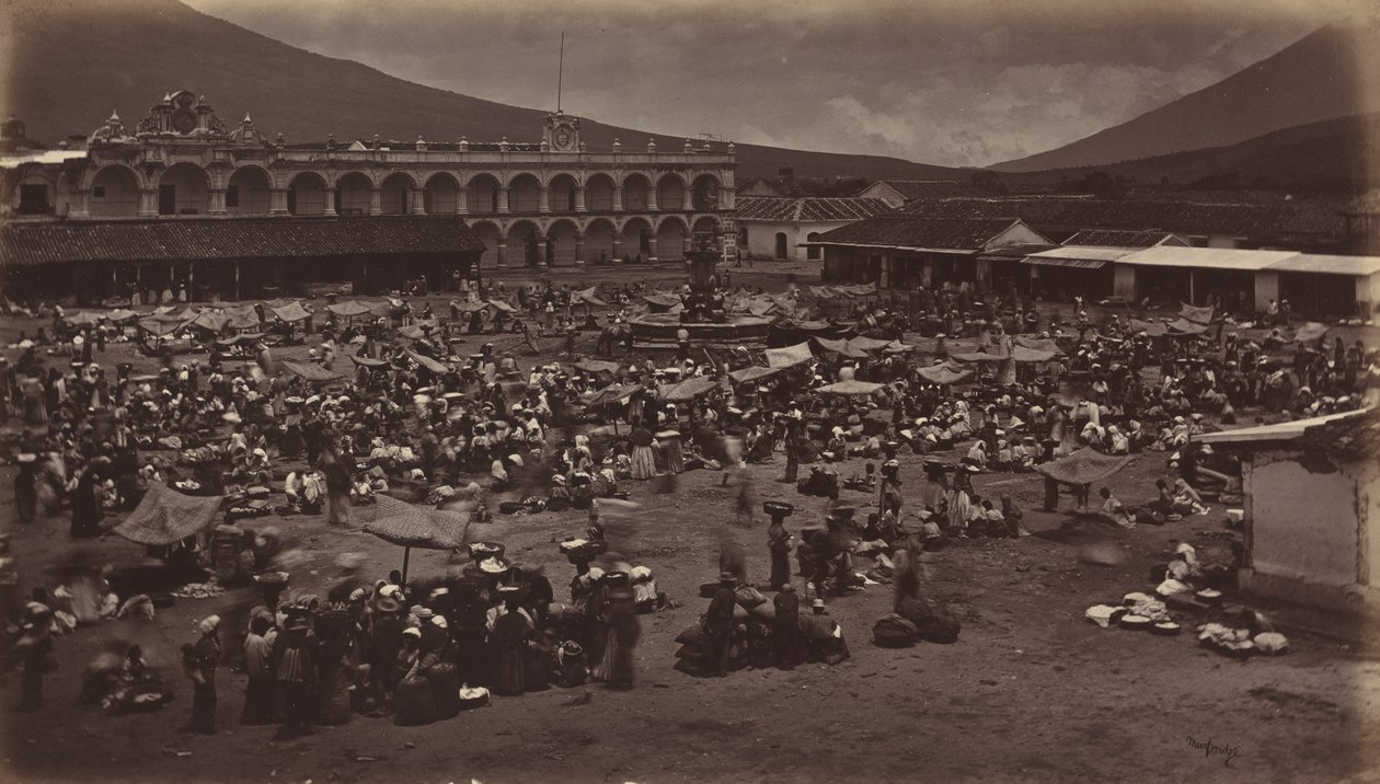 Plaza en Viceroy