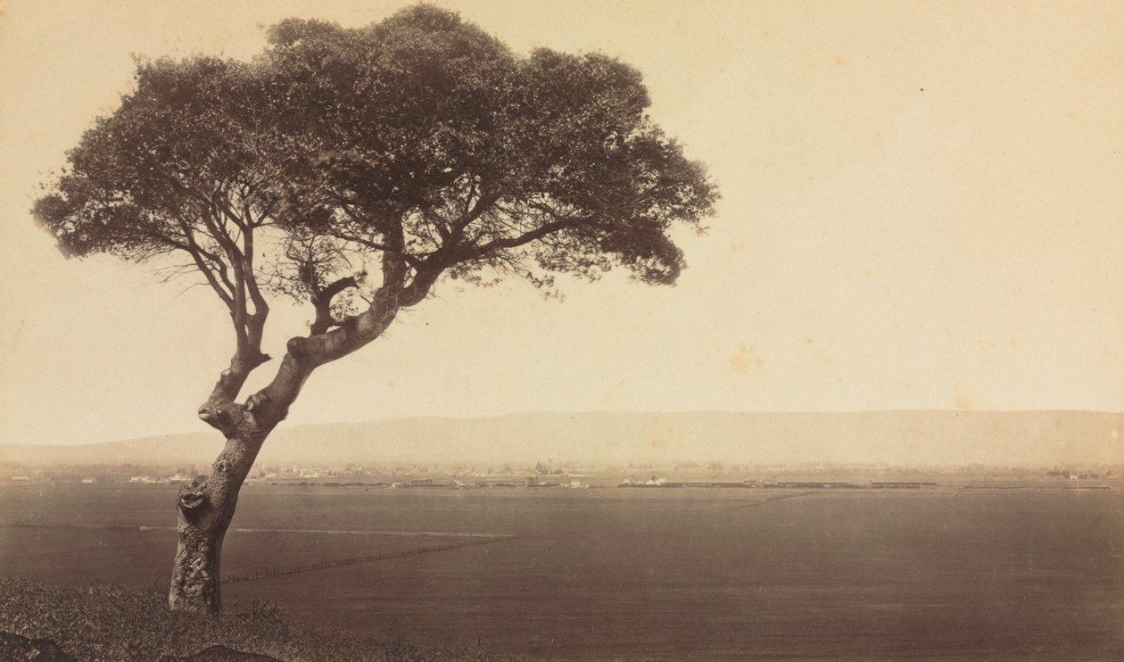 Zonder titel (Landschap bij Watsonville, Californië) door Eadweard J. Muybridge