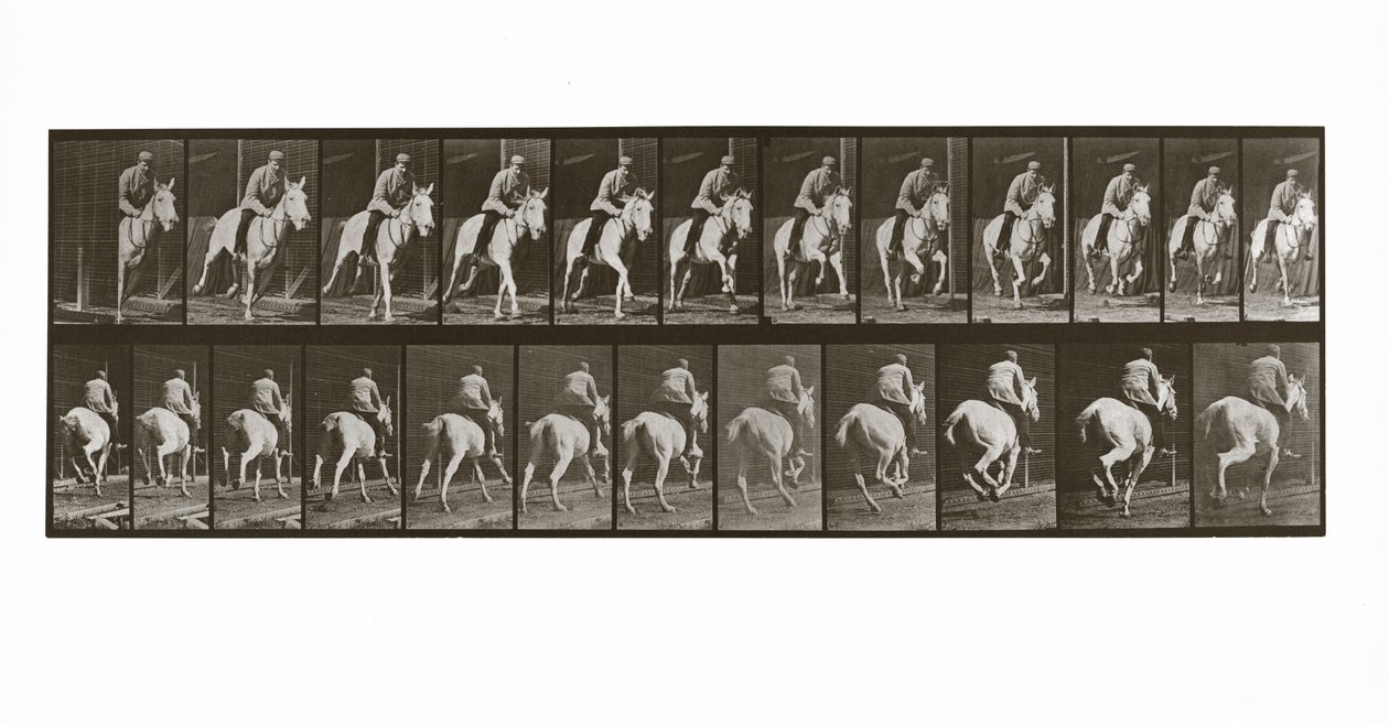 Galopperend paard met ruiter, Plaat 635 uit Animal Locomotion, 1887 door Eadweard Muybridge