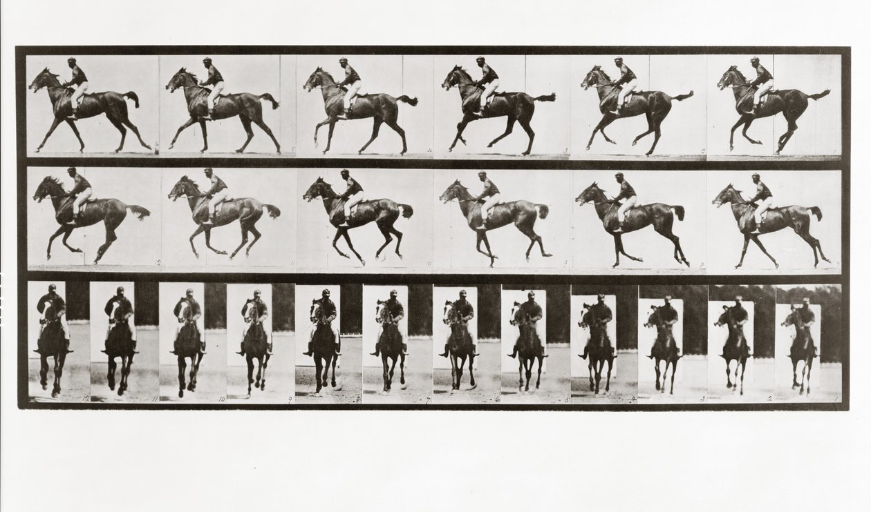 Paard en ruiter, Plaat 621 uit Animal Locomotion, 1887 door Eadweard Muybridge