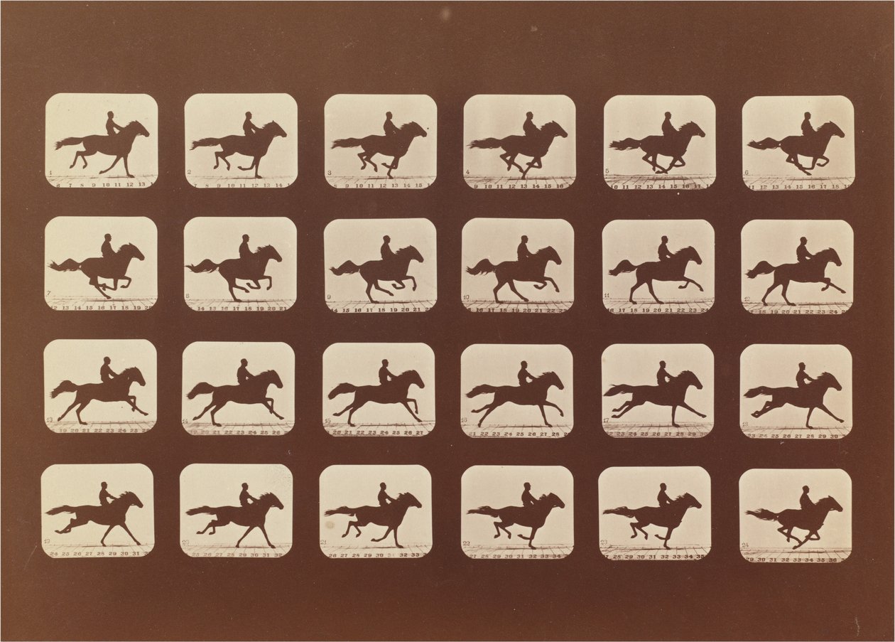 Paarden. Rennen. Phyrne L. Nr. 40 door Eadweard Muybridge