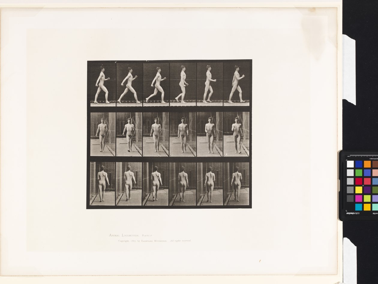 Plaat 10. Wandelen door Eadweard Muybridge