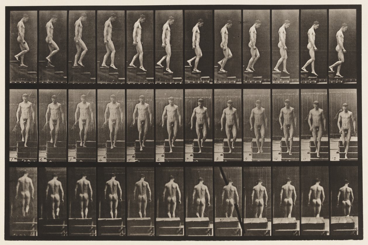 Plaat 125. Trappen aflopen door Eadweard Muybridge