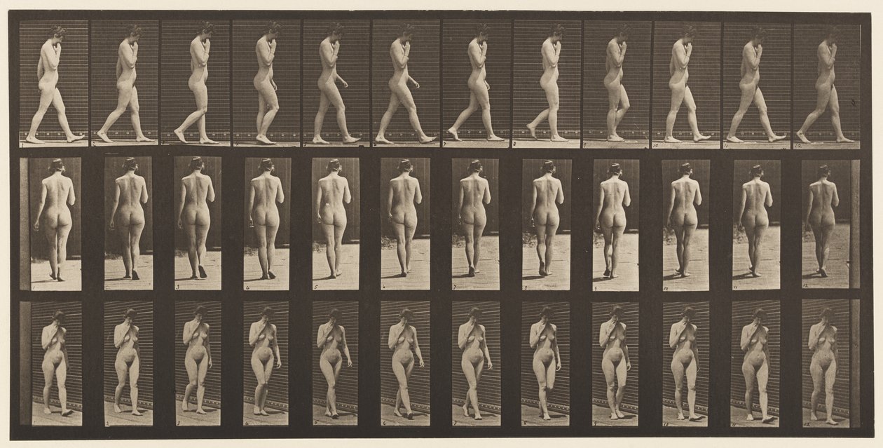 Plaat 14. Wandelen, rechterhand aan kin door Eadweard Muybridge