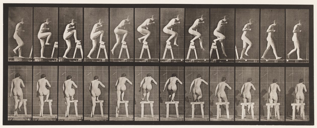 Plaat 178. Op en over een schraag stappen door Eadweard Muybridge
