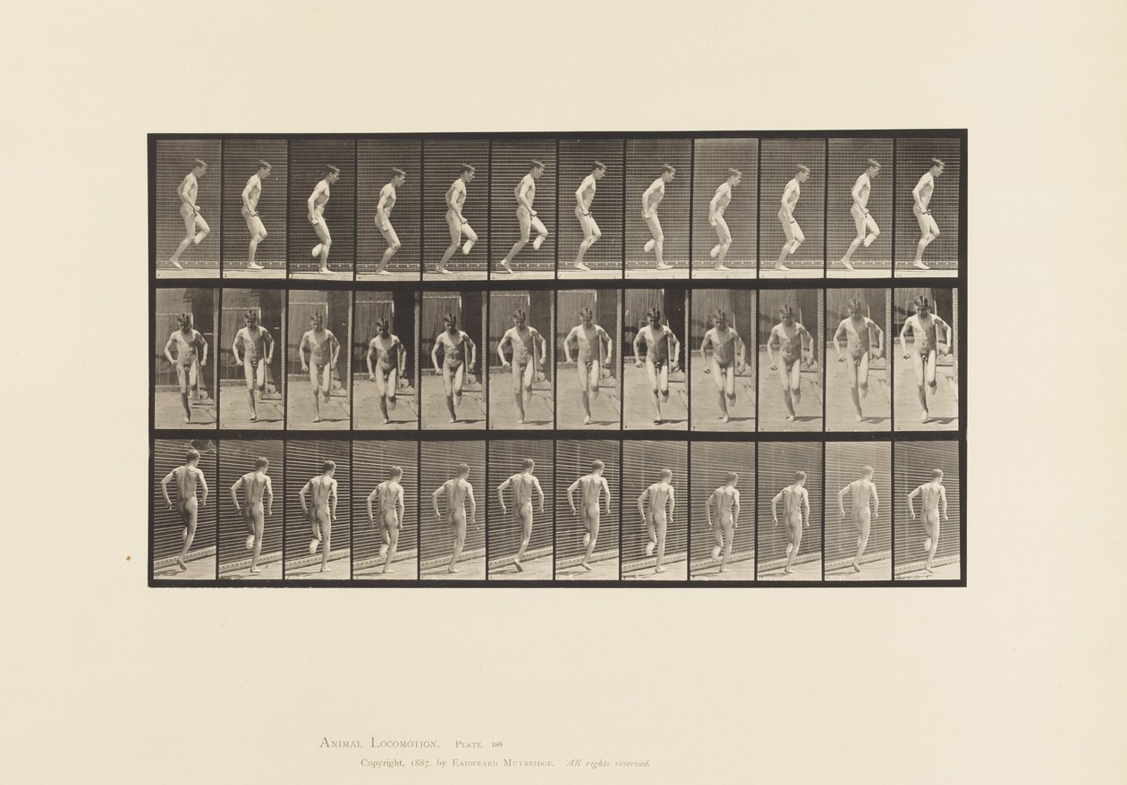 Op de Rechtervoet Springen door Eadweard Muybridge