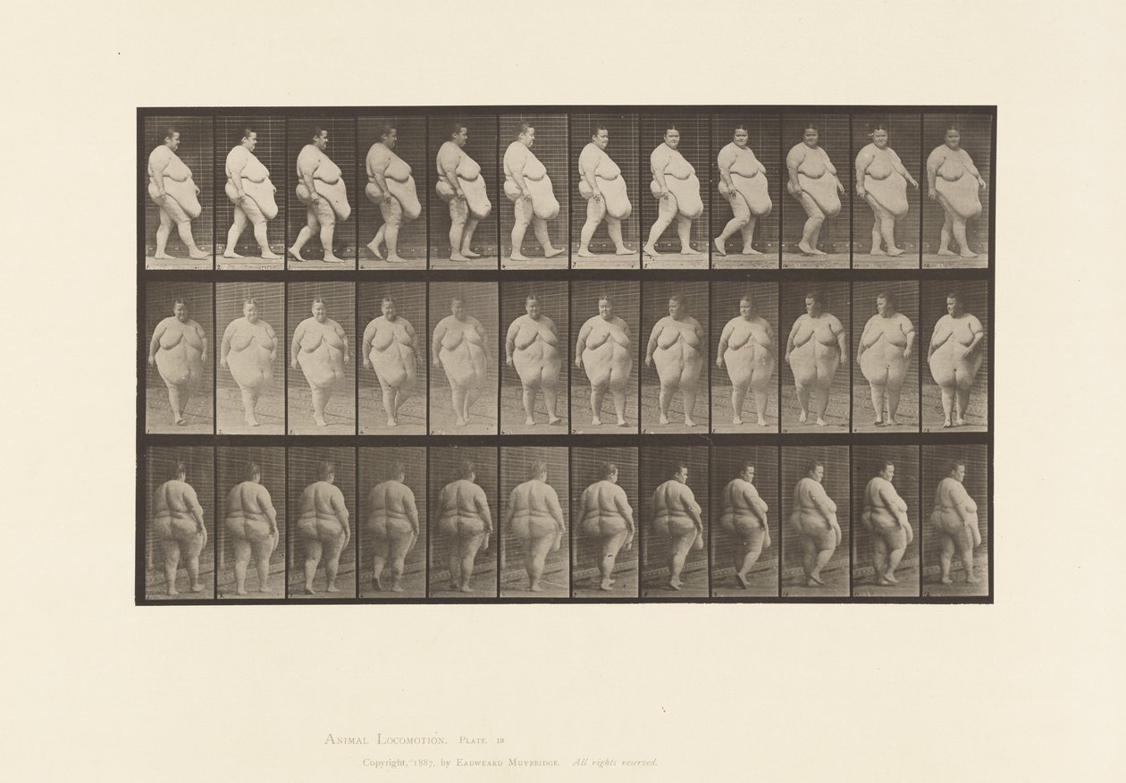 Plaat 19. Wandelen, Beginnen met Omdraaien door Eadweard Muybridge