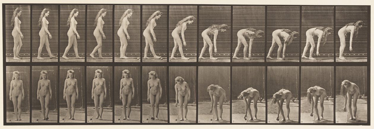 Plaat 204. Stoppen om bal op te pakken door Eadweard Muybridge