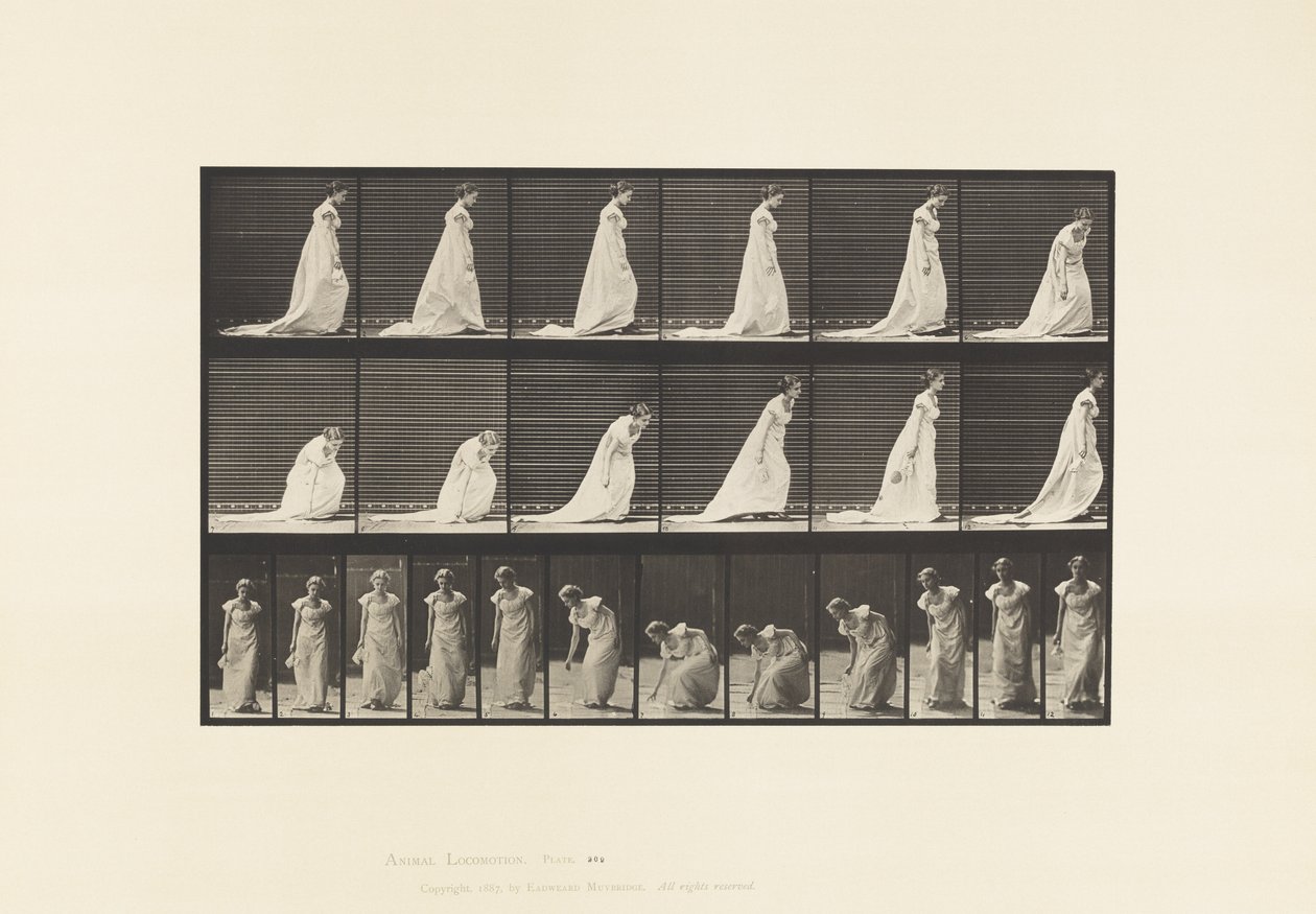 Plaat 209. Bukken en een zakdoek optillen, 1885 door Eadweard Muybridge