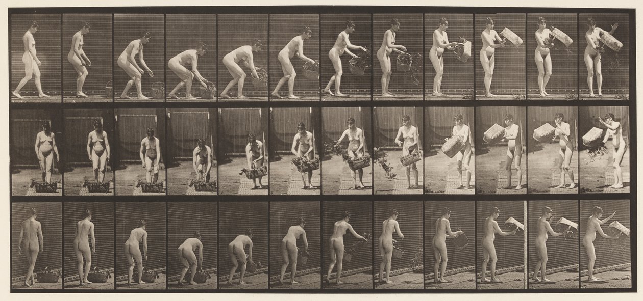 Plaat 213. Mand Optillen en Leegmaken door Eadweard Muybridge