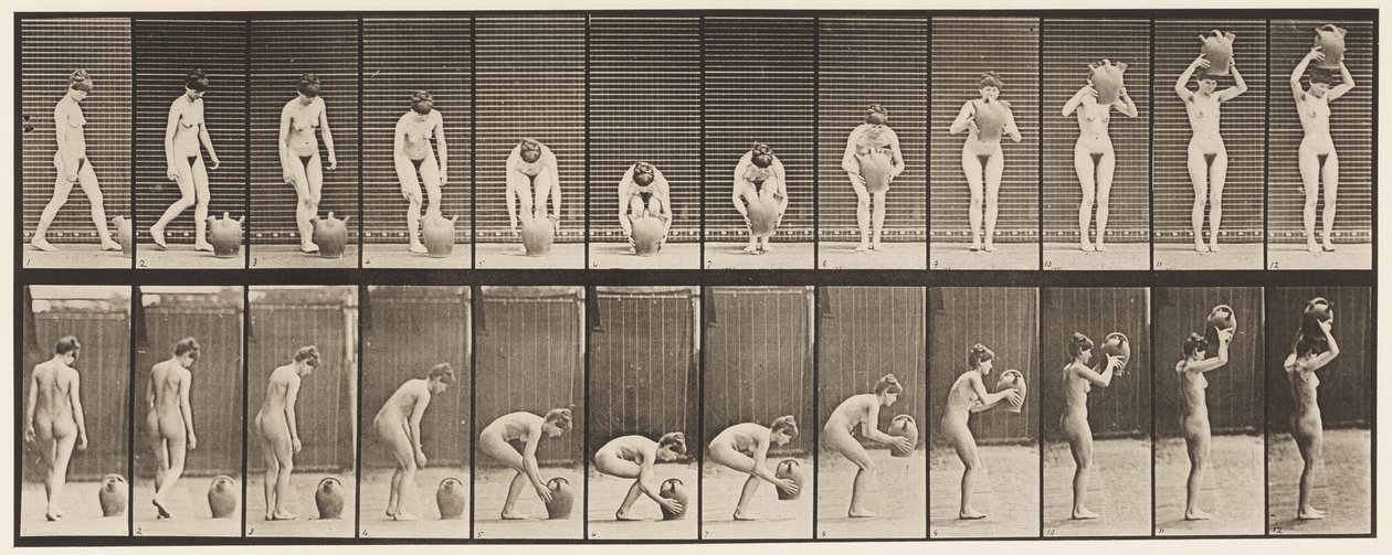Plaat 224. Bukken en Waterkruik naar Hoofd Tillen door Eadweard Muybridge